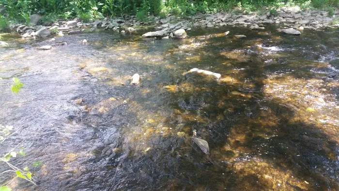 Sunset Mobile Home Park Picture 2