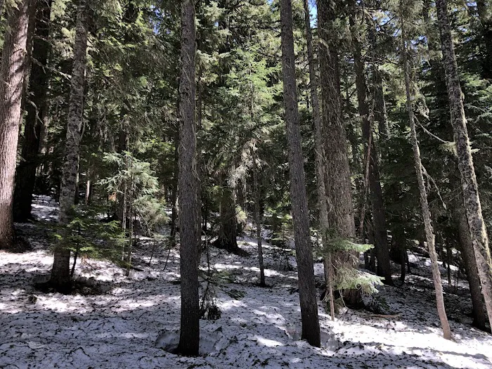 Upper Twin Lake Campground Picture 6