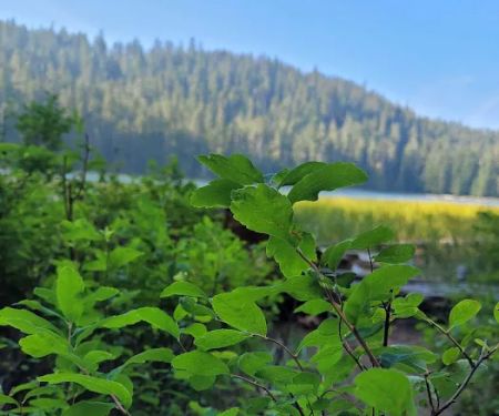 Upper Twin Lake Campground