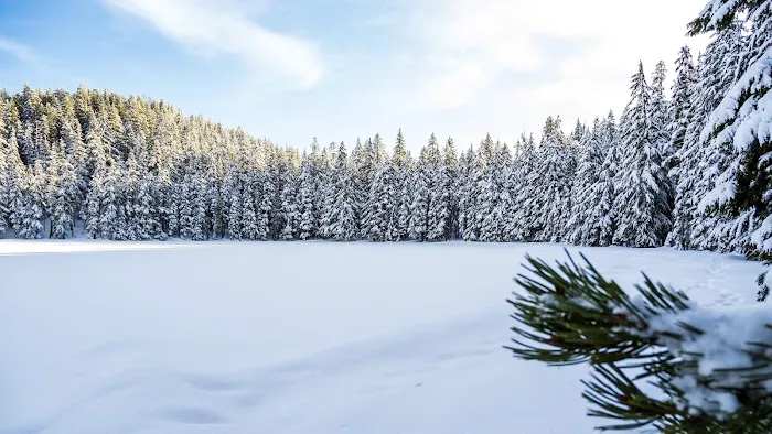 Upper Twin Lake Campground Picture 3