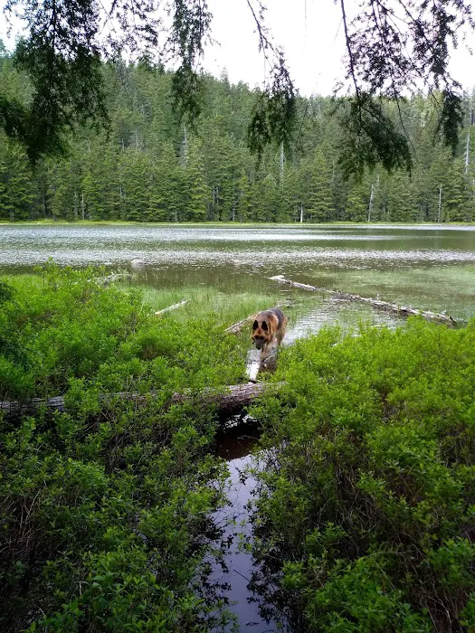 Upper Twin Lake Campground Picture 10