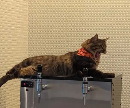 Lighthouse Marine Park Campground