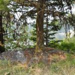 Crawfish Lake Campground