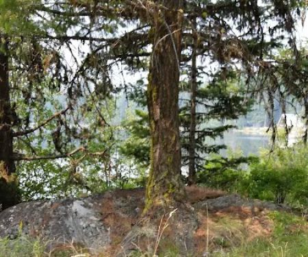 Crawfish Lake Campground