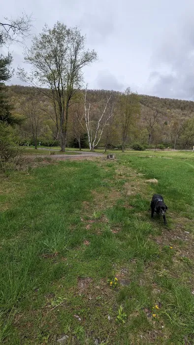 MorningStar RV Park Picture 4