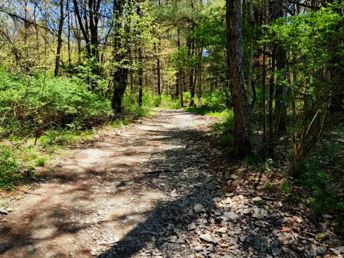 MorningStar RV Park Picture 5