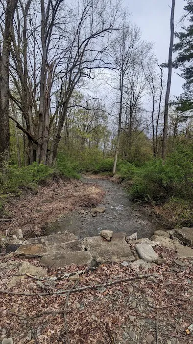 MorningStar RV Park Picture 7