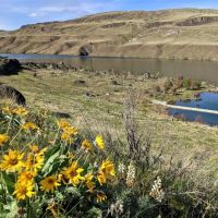 Rocky Flats Campground ico