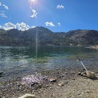 Rufus Woods Lake Campground ico