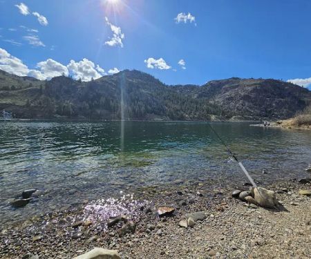 Rufus Woods Lake Campground