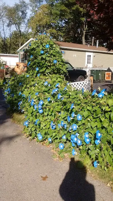 Penfield Trailer Court Inc Picture 2