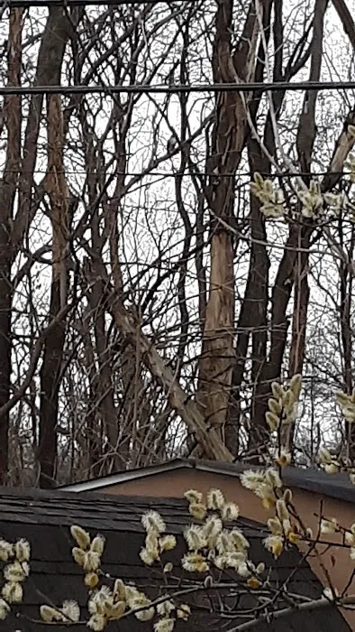 Penfield Trailer Court Inc Picture 1