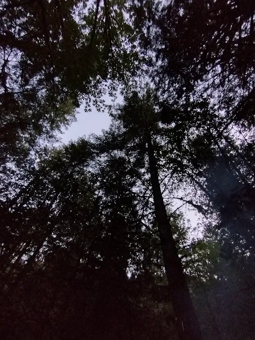 Cedar Grove Campgrounds Picture 4