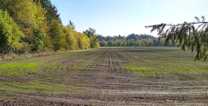 B Loop Champoeg State Heritage Area Picture 2