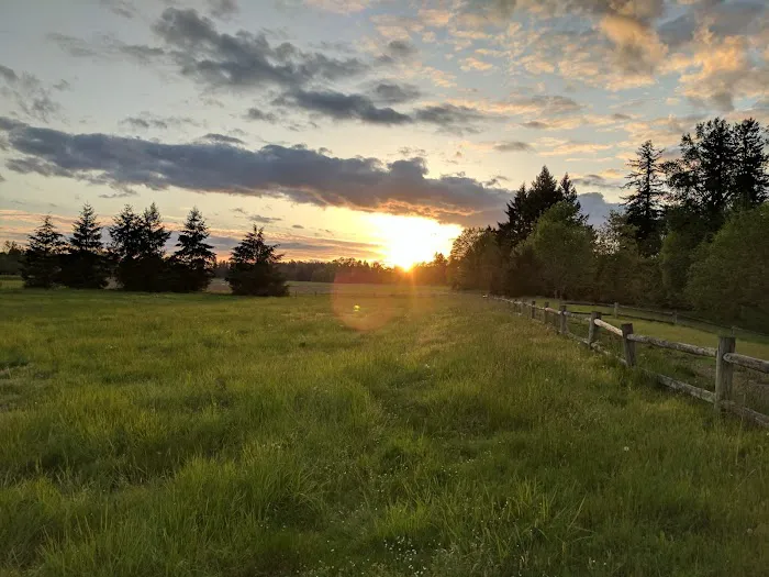 A Loop Campground, Champoeg State Historic Area Picture 6