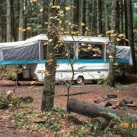 Camp Dakota Family Camping & Adventures! ico