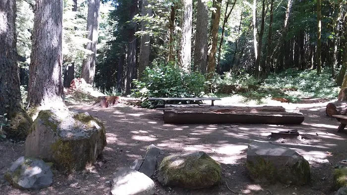 Butte Creek Falls Campground Picture 4