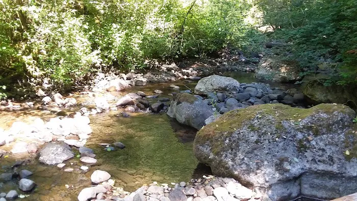 Butte Creek Falls Campground Picture 2