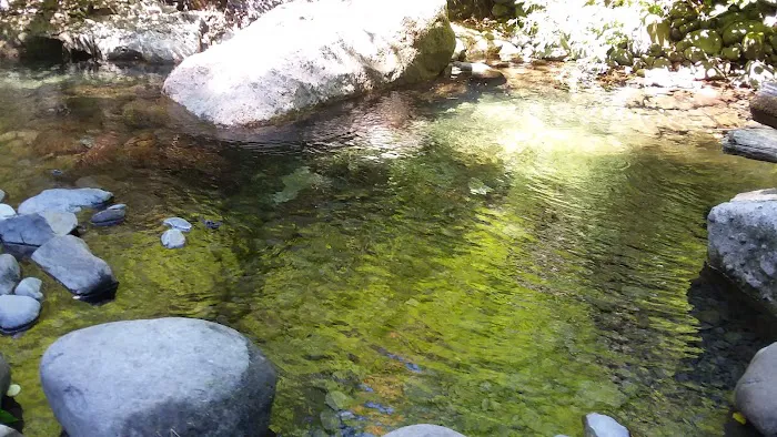Butte Creek Falls Campground Picture 1