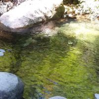 Butte Creek Falls Campground ico
