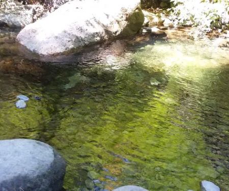 Butte Creek Falls Campground