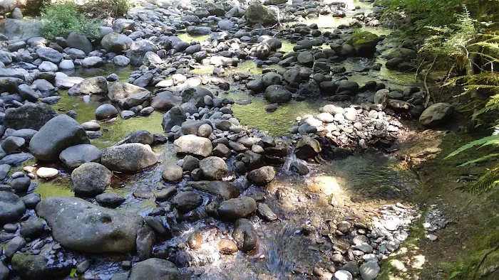 Butte Creek Falls Campground Picture 5