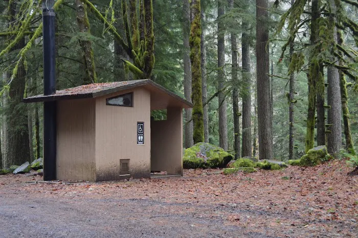 Butte Creek Falls Campground Picture 8