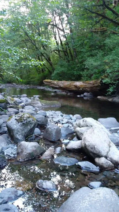 Butte Creek Falls Campground Picture 10