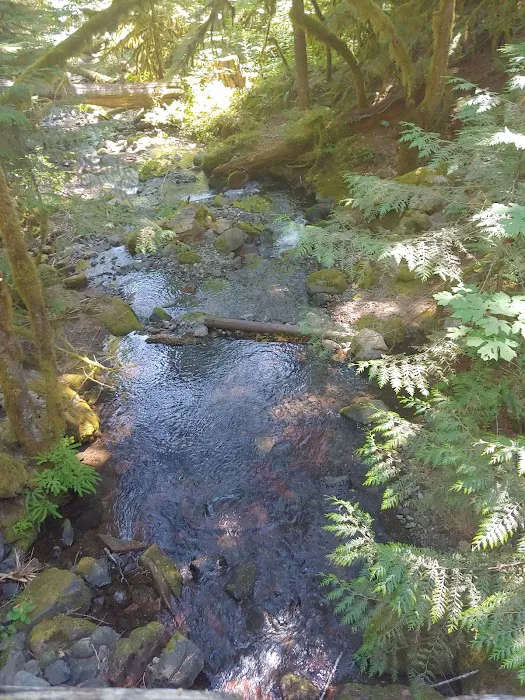 Indian Henry Campground Picture 7