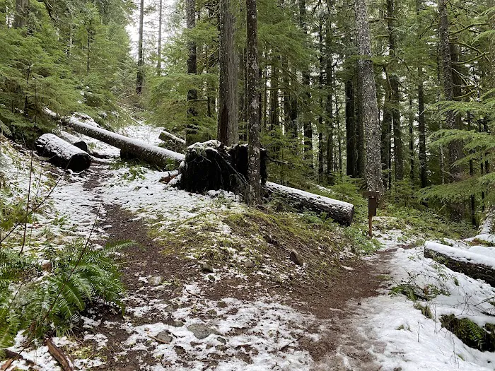 Indian Henry Campground Picture 2