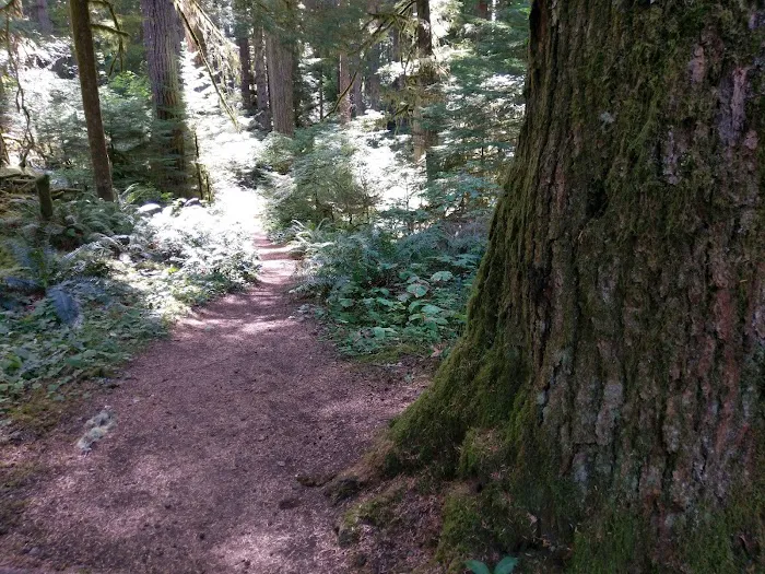 Alder Flat Trailhead Picture 3