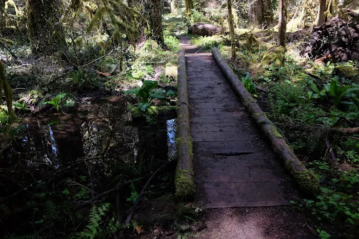 Alder Flat Trailhead Picture 1