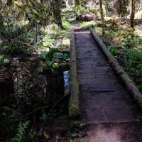 Alder Flat Trailhead ico