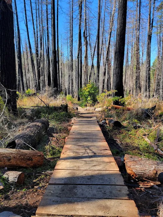 Alder Flat Trailhead Picture 7