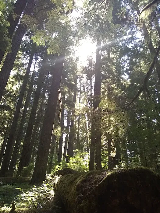 Alder Flat Trailhead Picture 6