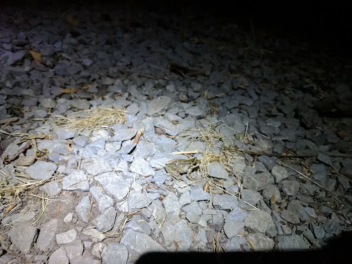 Ripplebrook Campground Picture 4