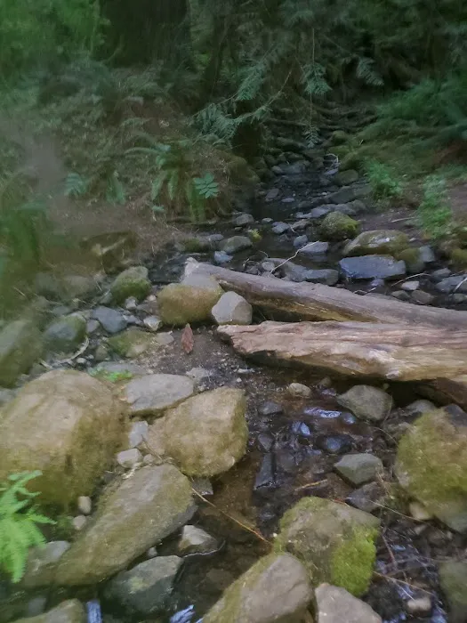 Ripplebrook Campground Picture 5