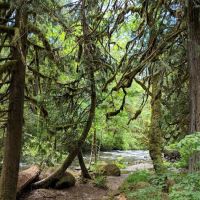 Ripplebrook Campground ico