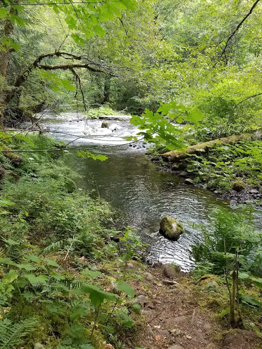 Rainbow Campground Picture 10