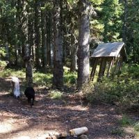 Frazier Fork Campground ico