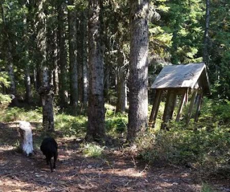 Frazier Fork Campground