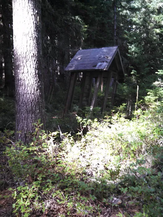 Frazier Fork Campground Picture 2