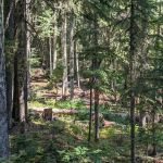 Hideaway Lake Campground