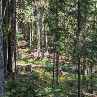 Hideaway Lake Campground ico