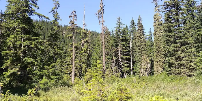 Hideaway Lake Campground Picture 7