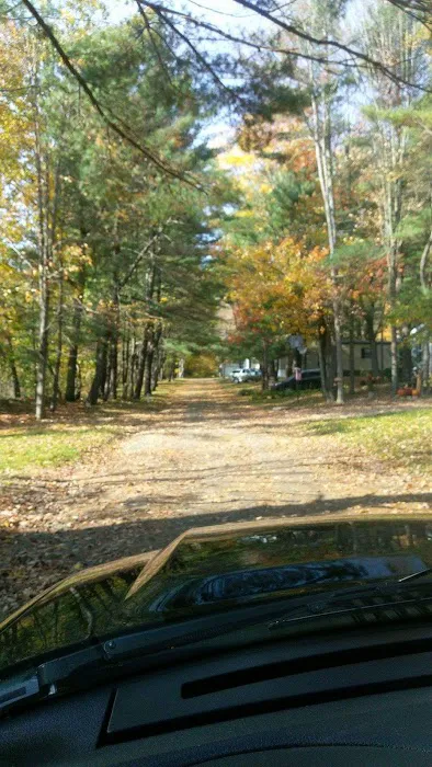 Hidden Forest Homes Picture 1