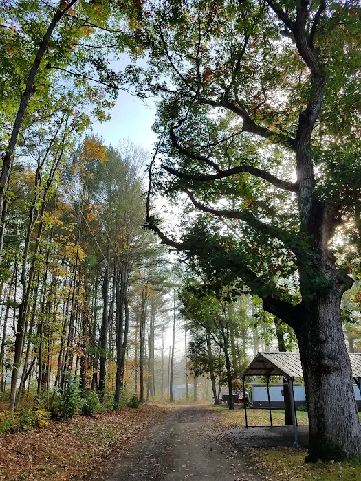 Hidden Forest Homes Picture 6