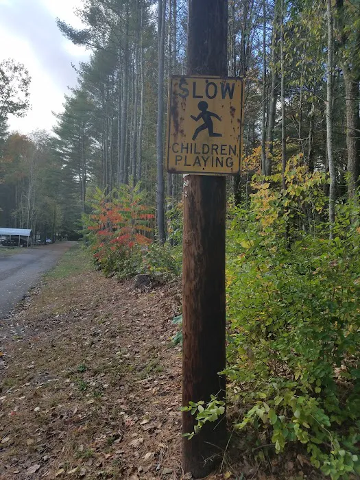 Hidden Forest Homes Picture 4