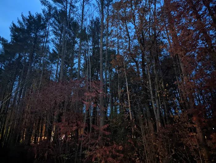 Hidden Forest Homes Picture 3