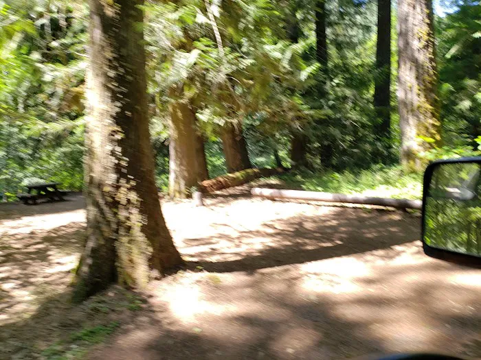 Riverside Campground Picture 2
